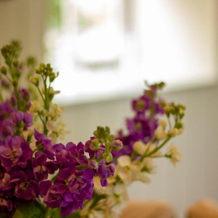 The Potting Shed, 5* Luxury Escape Cirencester Ngoại thất bức ảnh